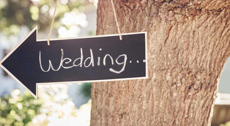 Wedding direction sign hanging on tree at outdoor venue in South Georgia.